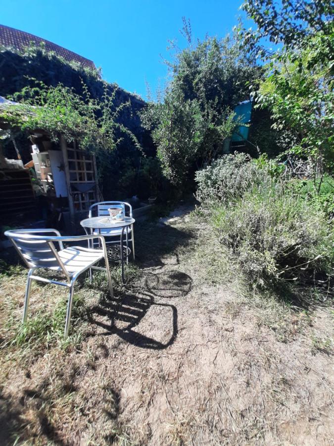 Studio Tout Confort 2 Personnes Au Coeur De L'Alsace Wolxheim Exterior foto