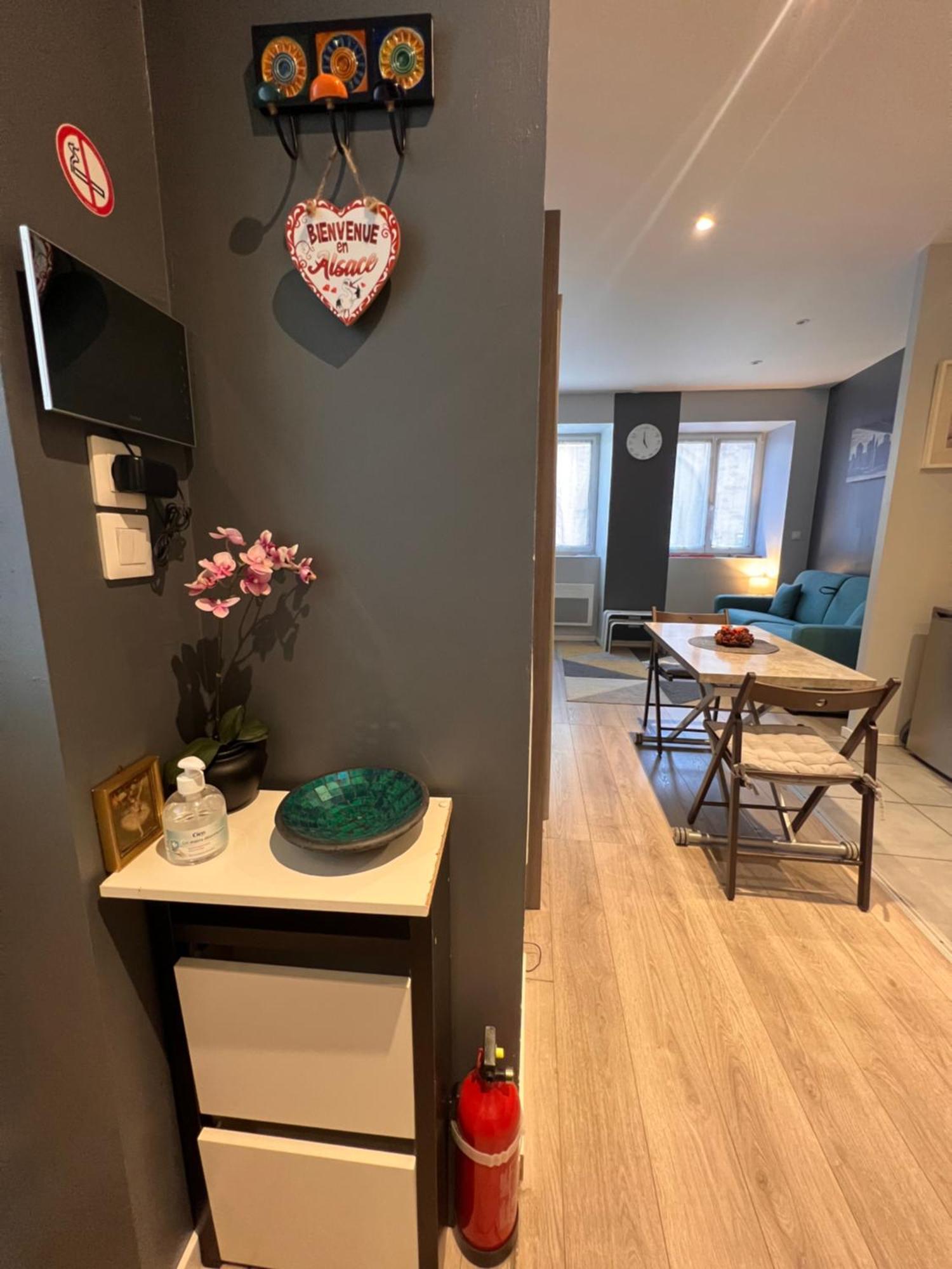 Studio Tout Confort 2 Personnes Au Coeur De L'Alsace Wolxheim Exterior foto